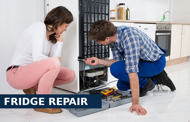 Fridge Repair Isleworth